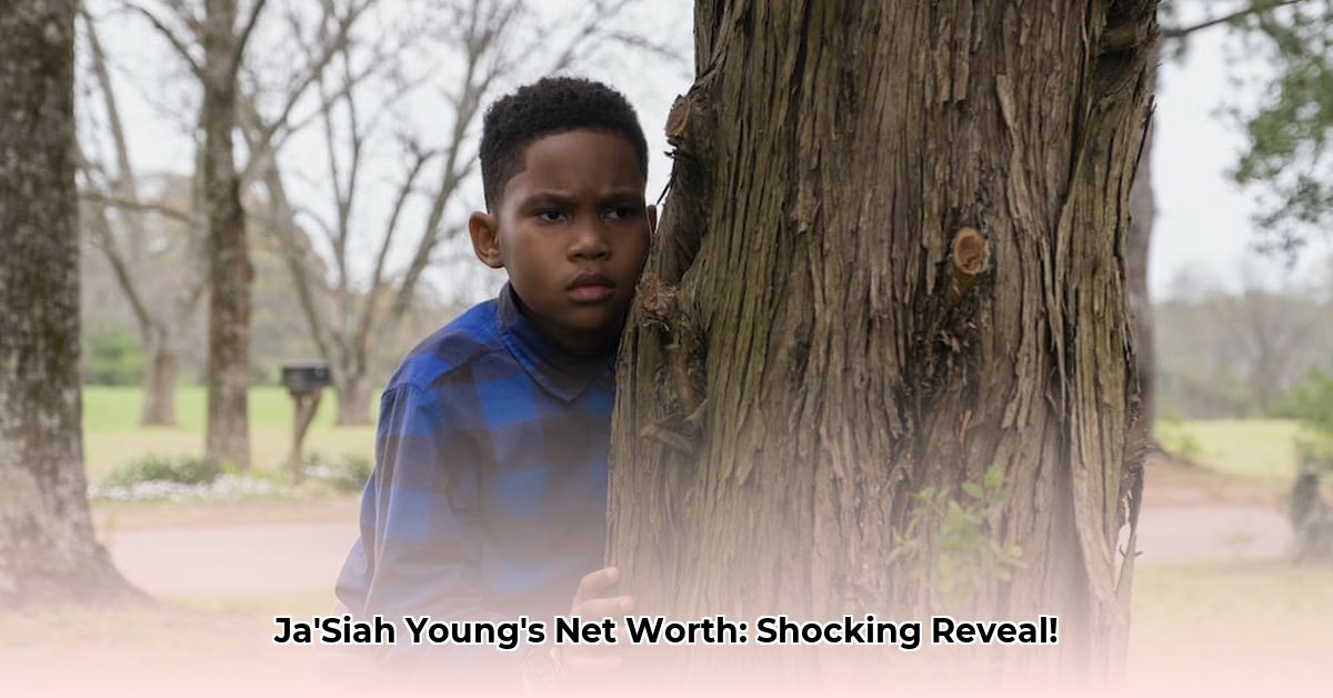 ja-siah-young-net-worth